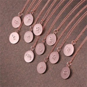 Zodiac necklace rose gold plated